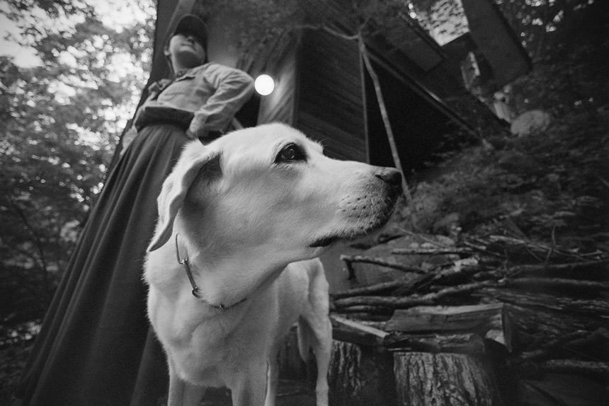 Dog Snapshot R 令和の犬景Vol.5　タイムカプセルから掘り起こされた愛犬の写真
