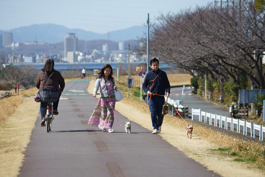郊外住宅地では、若い飼い主と若い洋犬の姿が目立った（2019年3月・東京都府中市）