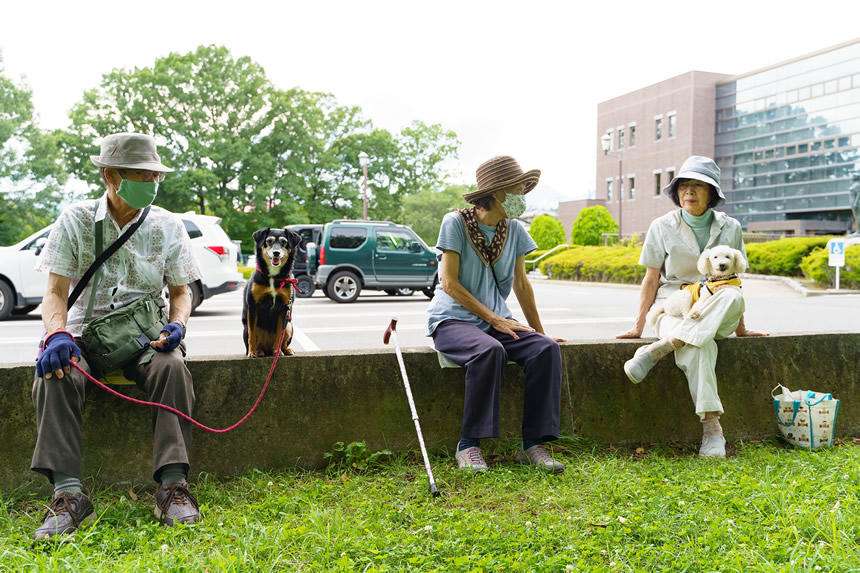 お年寄りの井戸端会議に犬たちも参加（2020年7月・長野県松本市）