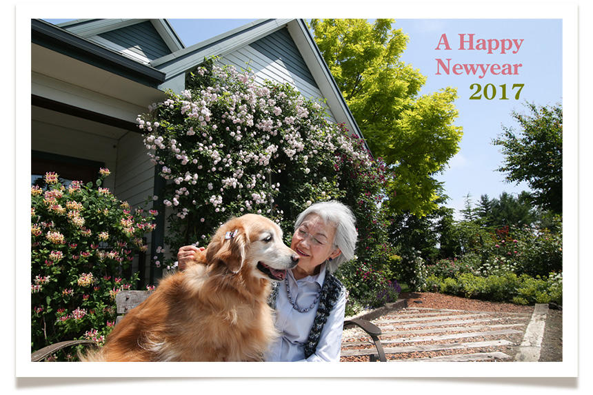 Dog Snapshot R 令和の犬景 Vol.9　母と犬の年賀状