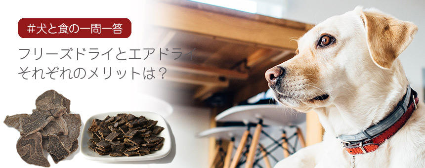 [#犬と食の一問一答]フリーズドライとエアドライ それぞれのメリットは？