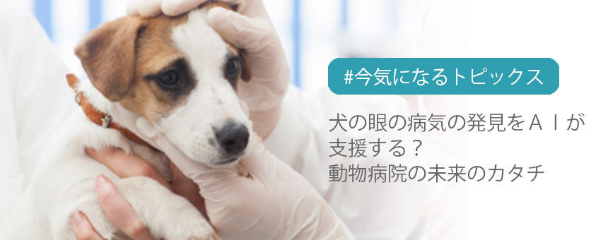 犬の眼の病気の発見をＡＩが支援する？動物病院の未来のカタチ[#今気になるトピックス]