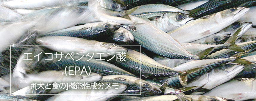 [機能性成分メモ]青魚に含まれるEPAって、なにが良いの？