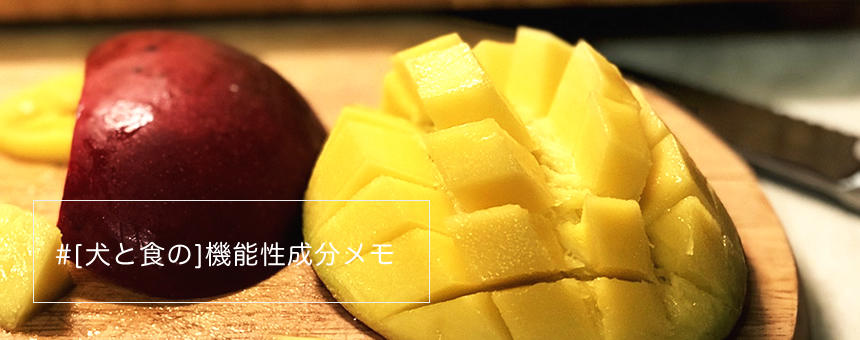 [#犬と食の機能性成分メモ]夏の果実トロピカルなマンゴーは抗酸化成分たっぷり。