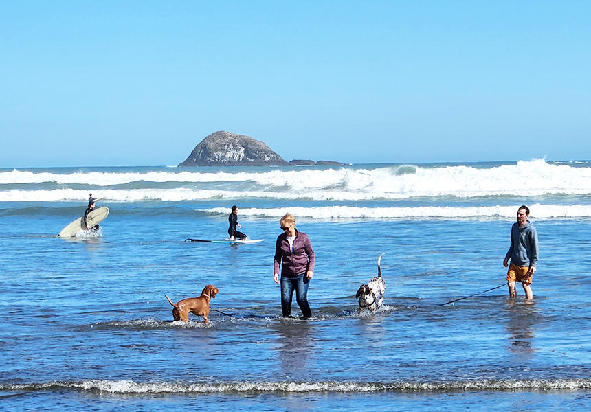 ニュージーランドは犬も飼い主も水遊びが大好き。海や湖で遊ぶ犬の姿は日常的です。