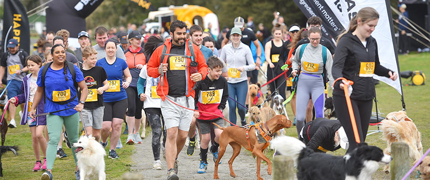犬と走って健康に！NZのアクティブな犬イベント「4 Paws Marathon」とは？～南半球のDog's letter～