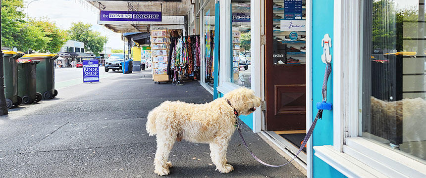 入口に犬を繋いでおけるフックがあるシューズショップ。日本では驚く方が多いかもしれませんが、店先で飼い主を待つ犬の姿はこの国では日常です。