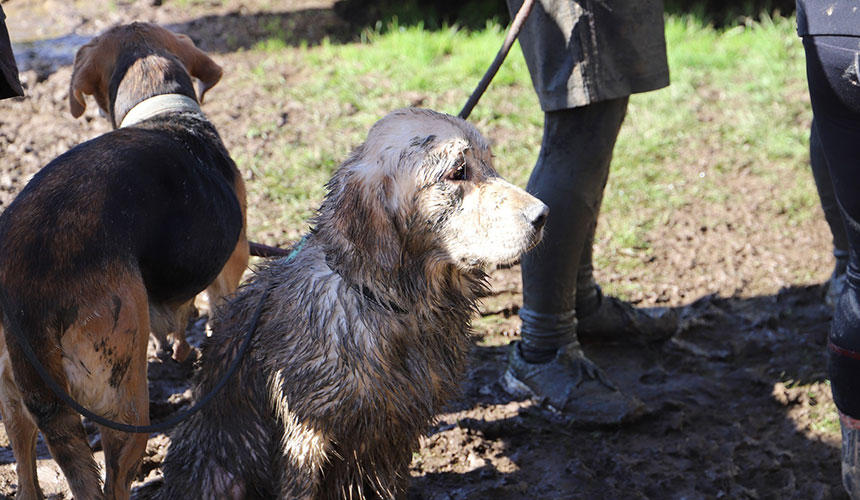 気が付いたらこんなに泥だらけ。でも、今日だけは飼い主も泥だらけなので、飛びつかれても気になりませんね。