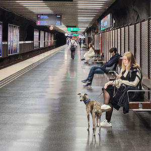 ヨーロッパでは比較的犬と一緒に利用できる施設が多かったように感じます。こちらはストックホルムの地下鉄駅