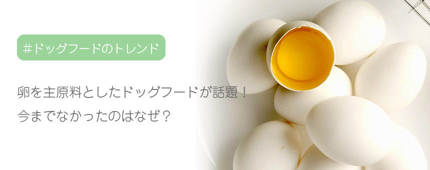 卵を主原料としたドッグフードが話題！注目の特長とは？