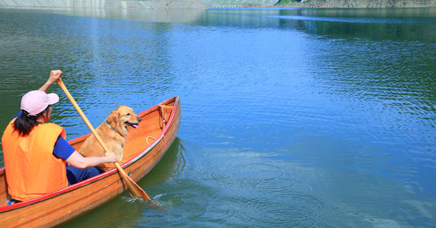 大きな犬と名栗湖を悠々とカヌーで散策
