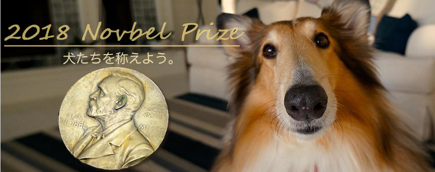 ノーベル賞授与式みたいに、年末に犬たちにも○○賞をあげてみよう！