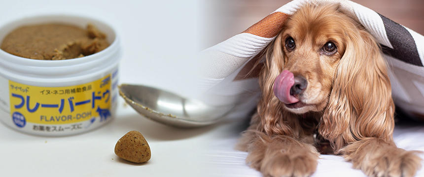 犬が薬やサプリメントを飲んでくれない時。ストレスを減らす、こんな方法もあります！