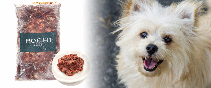 犬の大好きな馬肉の栄養を使いやすいサイズで。POCHI 馬肉パーフェクト