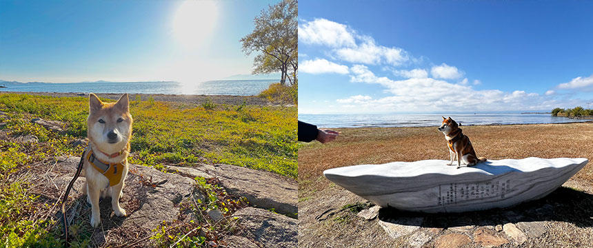 左：広大な琵琶湖を前に、はい、ポーズ！人がいない場所だと、ご機嫌です。/右：経由地の琵琶湖にて。どうにかベストショットを撮りたい飼い主が、おやつを持つ手が映り込んでますね。