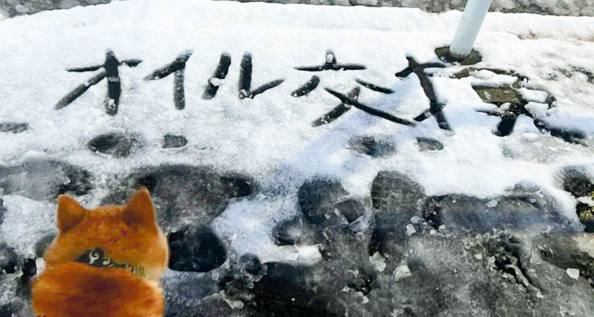 帰宅後、わずかな雪に描かれた謎のメモをじっくり読み込む柴犬