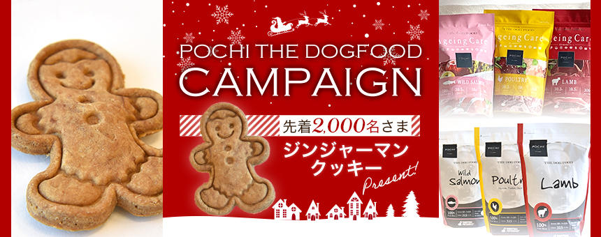 《POCHI ザ・ドッグフード》手作りのジンジャーマンクッキーを対象の先着2,000名様プレゼント