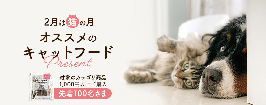 【終了】《猫とも暮らす方へ》2月は猫の月！キャットフードカテゴリ商品をご購入で、お試しフードを先着プレゼント！