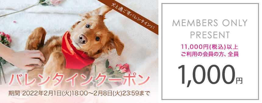 《2/8(火)23:59まで》犬と過ごすバレンタインに使える1,000円クーポン【メンバー限定】