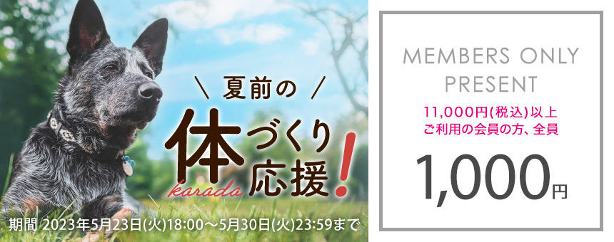 【終了】《5/30(火)23：59まで》夏前の体づくり応援1000円クーポン