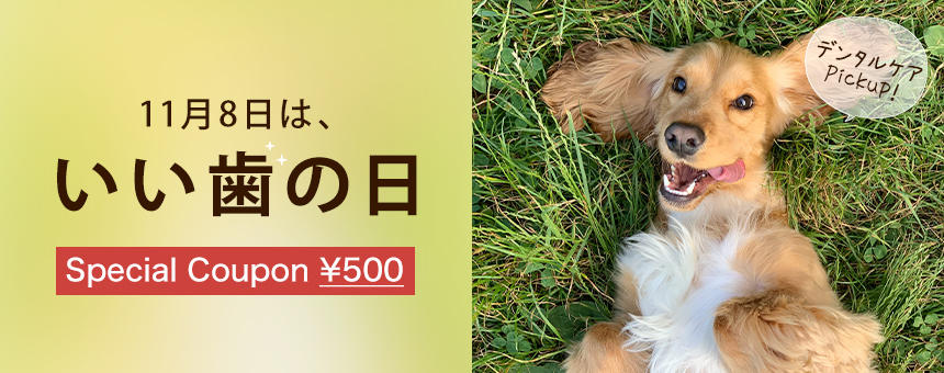 信頼】 犬のポチ様専用 ienomat.com.br