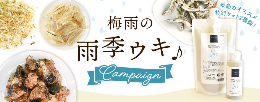 【完売】《雨季ウキ！キャンペーン》梅雨にうれしい食器用洗剤ヌメキュットお買い得品