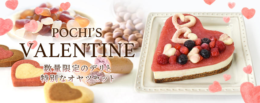 《ポチのバレンタイン》スペシャルなケーキやトリーツ、セットなどハートまみれでご紹介