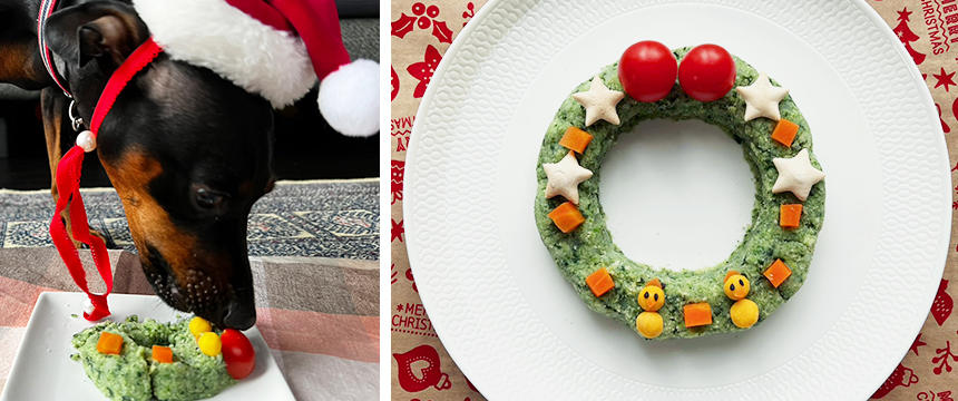 シニア犬にも優しいクリスマスレシピ！簡単だけどキュートな「リースケーキ」