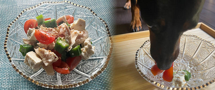 夏バテ対策簡単レシピ「ささみとオクラの崩し豆腐和え」[#犬の手作り食レシピ]