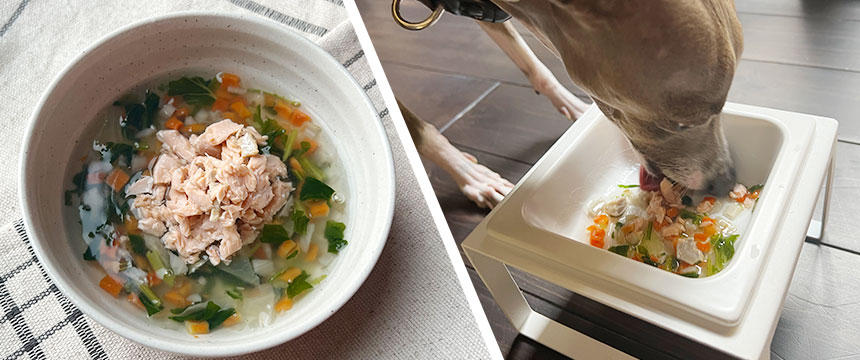 シニア犬に合わせた飲み込みやすさで調整する「鮭の野菜あんかけ」[#犬の手作り食レシピ]