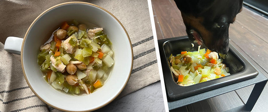 中世ヨーロッパ風「春野菜たっぷり、農夫さんのキャベツスープ」[#犬の手作り食レシピ]