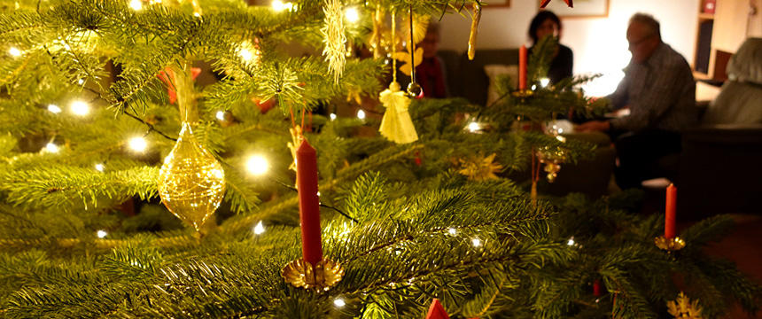 12月から1月初旬にかけては、クリスマスツリーも素敵な室内照明の1つになります。