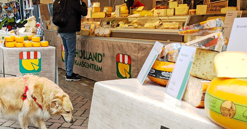 アルクマールの街で。さまざまな種類のオランダチーズが売られています。