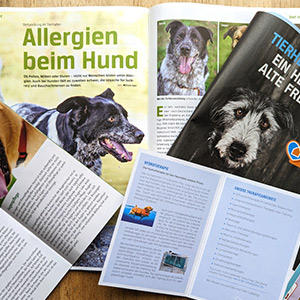 犬の健康に関する記事やシニア犬保護の広告などが載っている冊子やパンフレット。