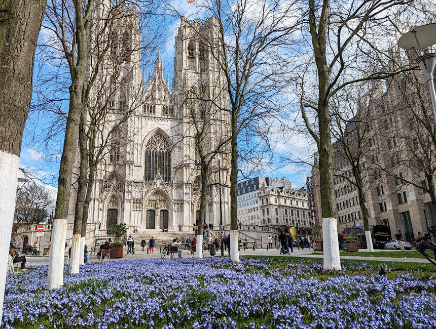 ブリュッセルのサンミッシェル大聖堂前にも、かわいらしい花が咲き誇る花壇が。