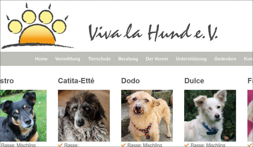 ティアハイムのウェブサイトの一部。保護され、パトロンを探している犬たちを紹介しています。