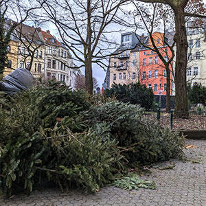 1月になると、各家庭で役目を終えたクリスマスツリーの山を街中の広場や通りで見かけます。ドイツらしい1月の風物詩です。