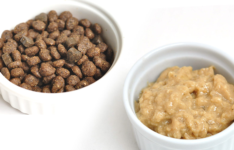 FORZA10 デルモ アクティウェット