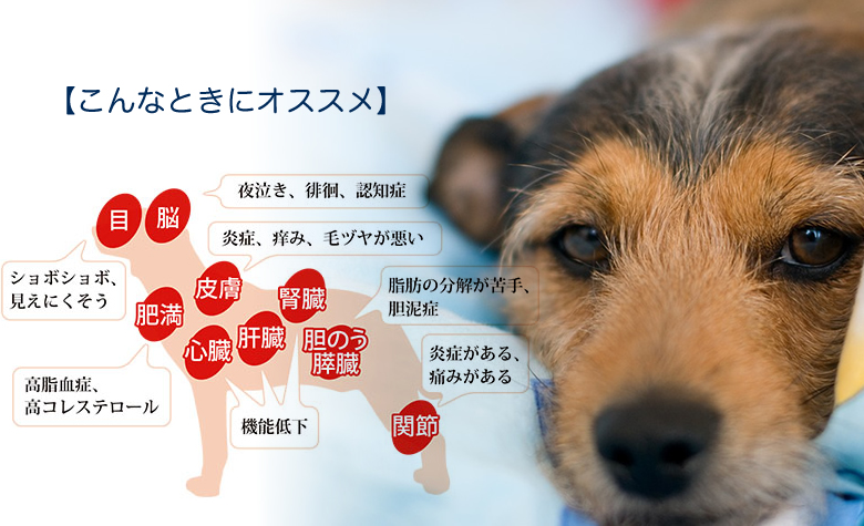 こんなときにオススメ