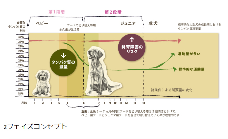 2フェイズコンセプト
