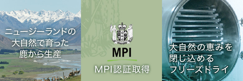 『DEAR DEER』 3つの特徴