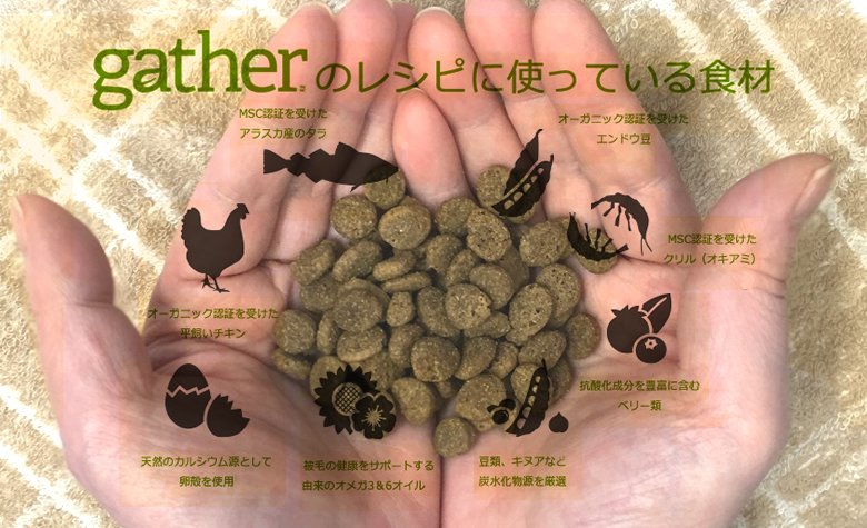 ギャザーの特長