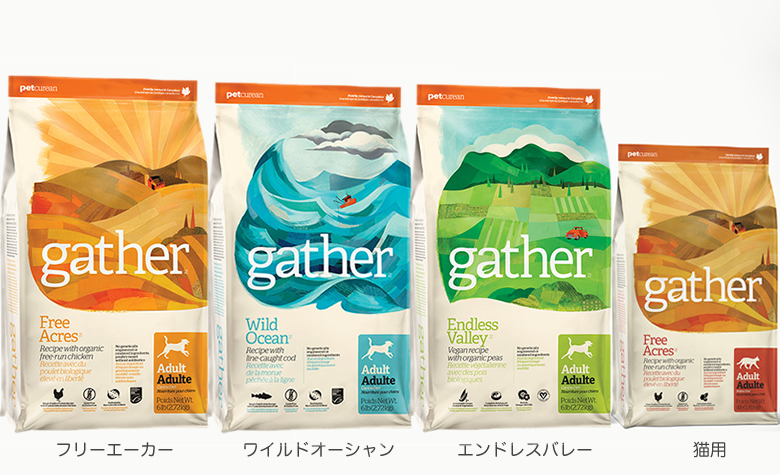 ギャザーの種類