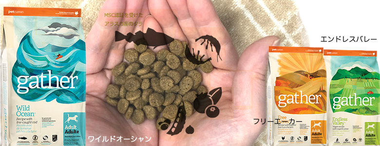 ギャザーの種類