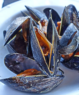 ムール貝、パーナ貝