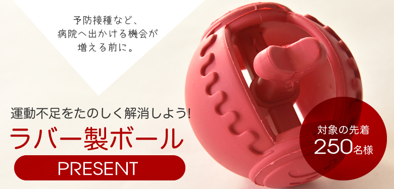 ランコ社 限定タマゴちゃんご紹介