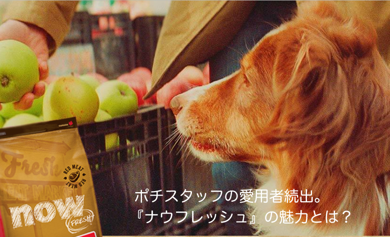 新鮮生肉100％ドッグフード ナウフレッシュ(nowFresh)