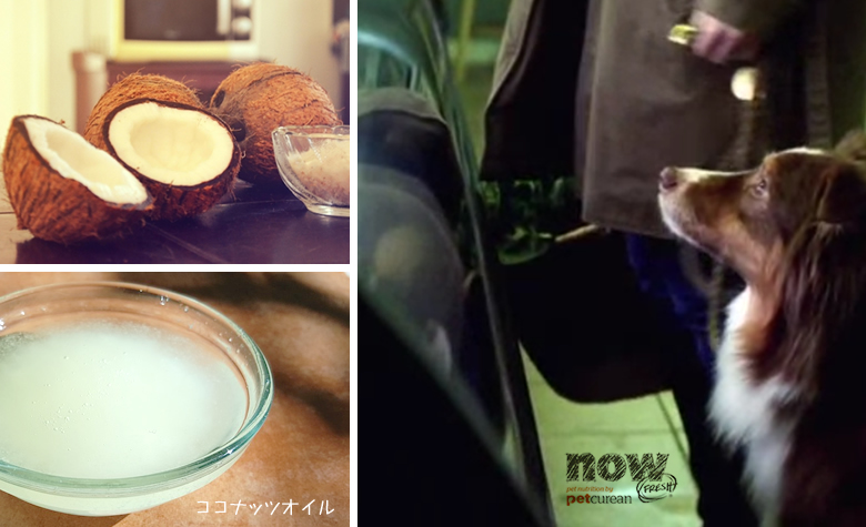 使っていないものと第三者機関の説明