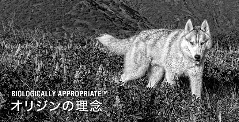 オリジンの理念