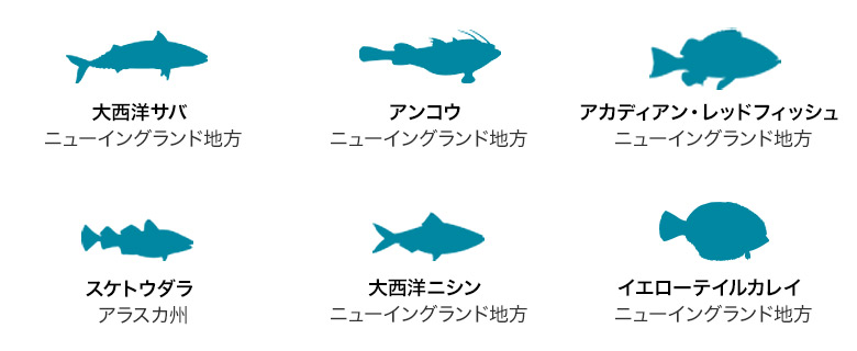 持続可能な方法で漁獲された天然丸ごと魚